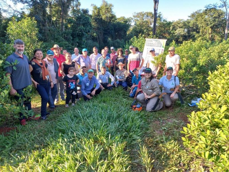 Yerba Mate: Jornada técnica con productores y tareferos de El Soberbio