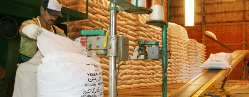 A pesar de la pandemia, se mantienen las exportaciones de yerba mate argentina