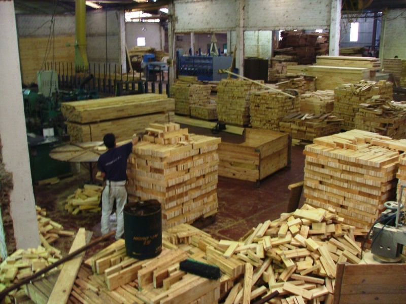 Trevisan: Con los secaderos “todos los aserraderos de Misiones son potenciales exportadores de madera”