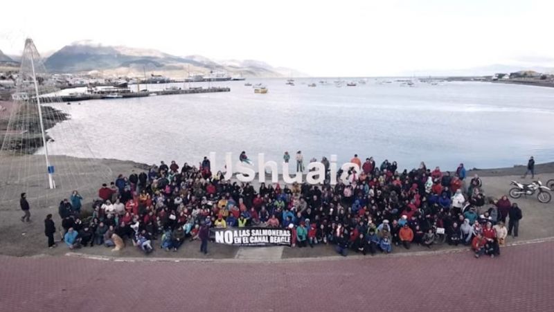 Argentina: Tierra del Fuego prohibió la cría y producción de salmón en cautiverio en sus aguas