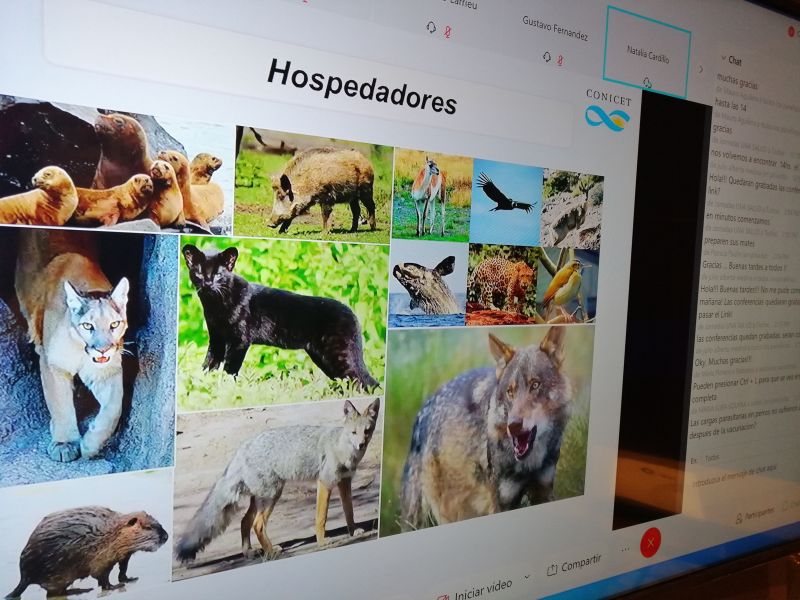 Más de 400 participantes en el Congreso virtual sobre Zoonosis