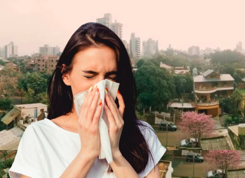 Misiones: Por la presencia de humo en la región, se recomienda cuidados a personas con patologías respiratorias