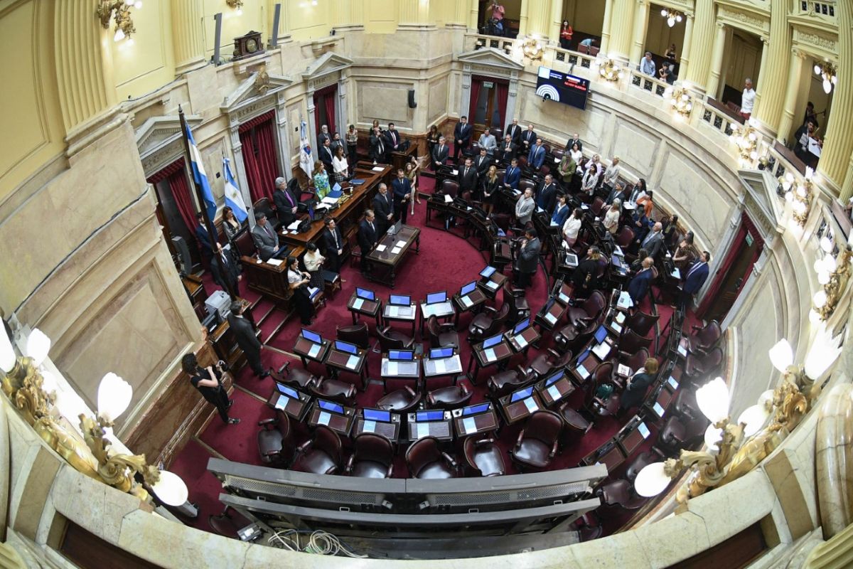 Red de Mujeres exigen a senadores por Misiones, que voten en contra de la ley que libera la venta de tierras a extranjeros