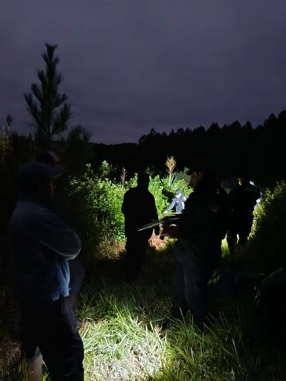 Misiones - San Vicente: Hallan restos óseos humanos