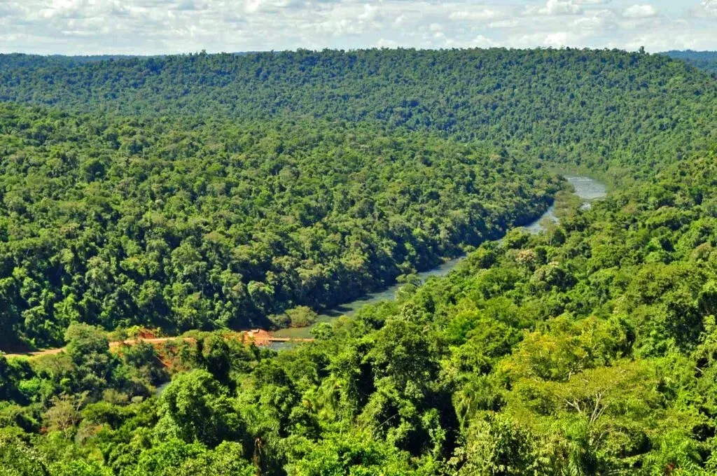 Misiones: Avanza el proyecto ambiental que fortalece el Corredor Verde y la producción sostenible en la Provincia
