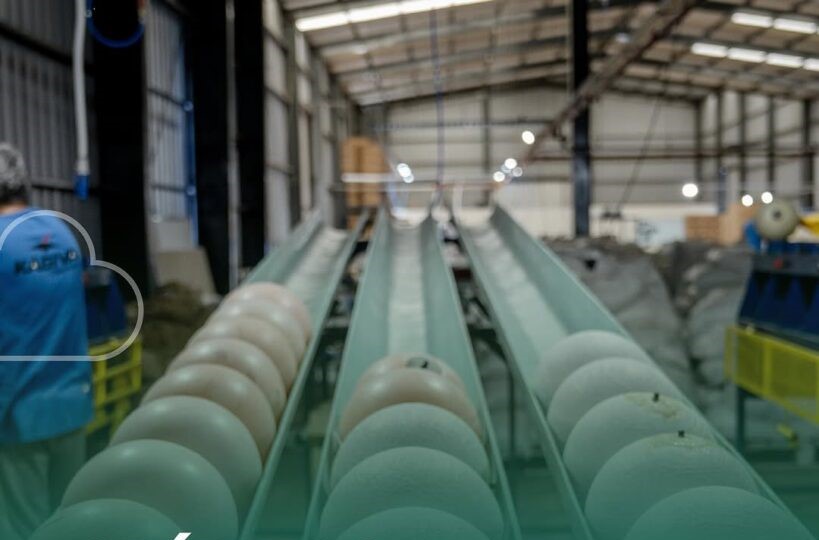 Misiones: Passalacqua anunció la ampliación del cupo de líneas de crédito para el fortalecimiento productivo