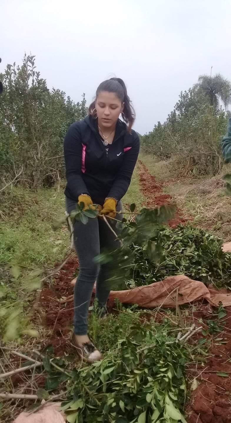 Misiones: Passalacqua advirtió sobre los riesgos de las nuevas medidas nacionales en relación al INYM