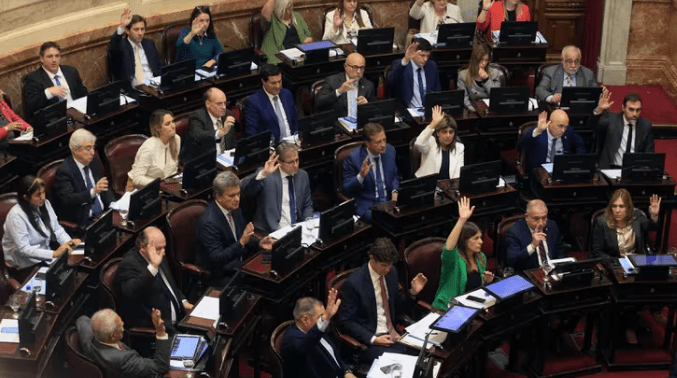 Salariazo en el Senado: El jefe de bloque de LLA aseguró que Milei «sabía que se iba a votar esto»