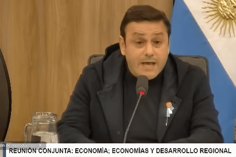 “Misiones pierde hasta tres RIGI por año con la desregulación”: duro discurso de Herrera Ahuad por la yerba mate