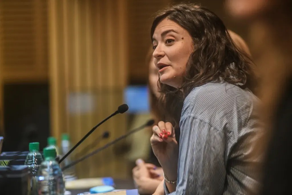 Misiones – Ficha Limpia: “Los partidos políticos deben ser responsables antes de oficializar una lista”