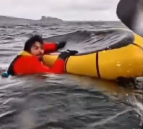 CHILE – Impactante registro de una ballena que traga a joven que hacía kayak - VIDEO
