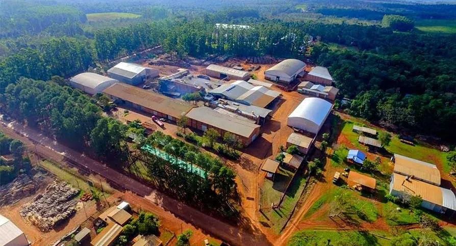 Misiones - Crisis en la Cooperativa Yerbatera Andresito: suspensión de pagos bajo un presidente libertario defensor de la desregulación