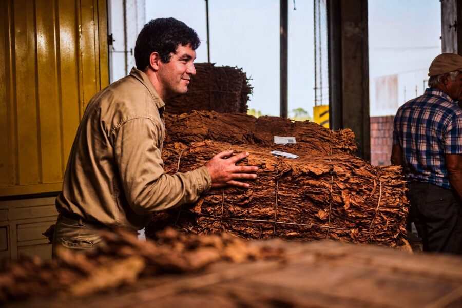 Misiones: Nuevo pago a tabacaleros por más de 8.600 millones de pesos