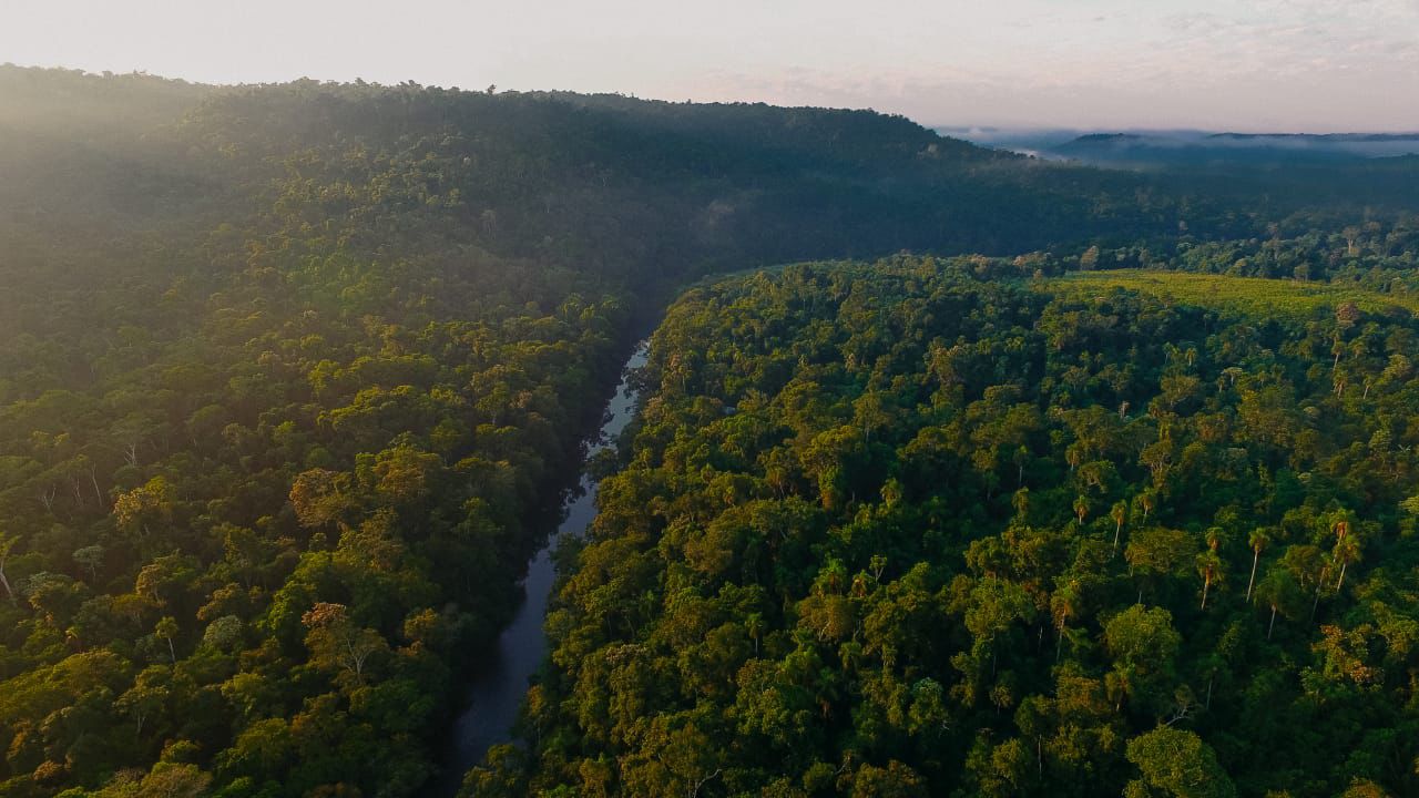 Misiones lleva al Senado su modelo de mercado de carbono y refuerza una política impulsada por Rovira