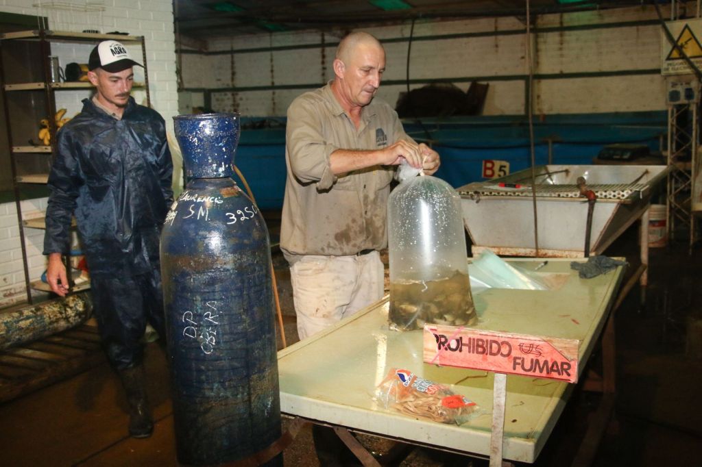 “+ Piscicultura”, para fortalecer la cuenca productora de peces de Misiones