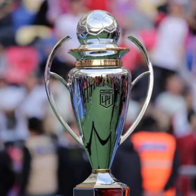 FÚTBOL - LPF Clausura 2025 - Instancia de Cuartos de Final: Horarios, árbitros, TV, resultados y clasificados a Semis