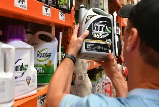 ESTADOS UNIDOS - Bayer, entre demandas y pérdidas millonarias, analiza dejar de vender Roundup