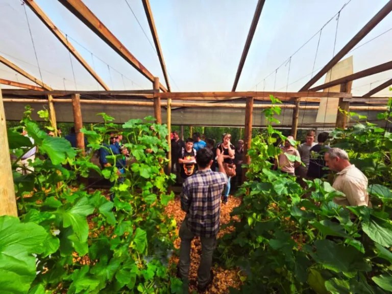 Misiones: Cultivo de melón y sandía contra estación con el fin de mejor rentabilidad