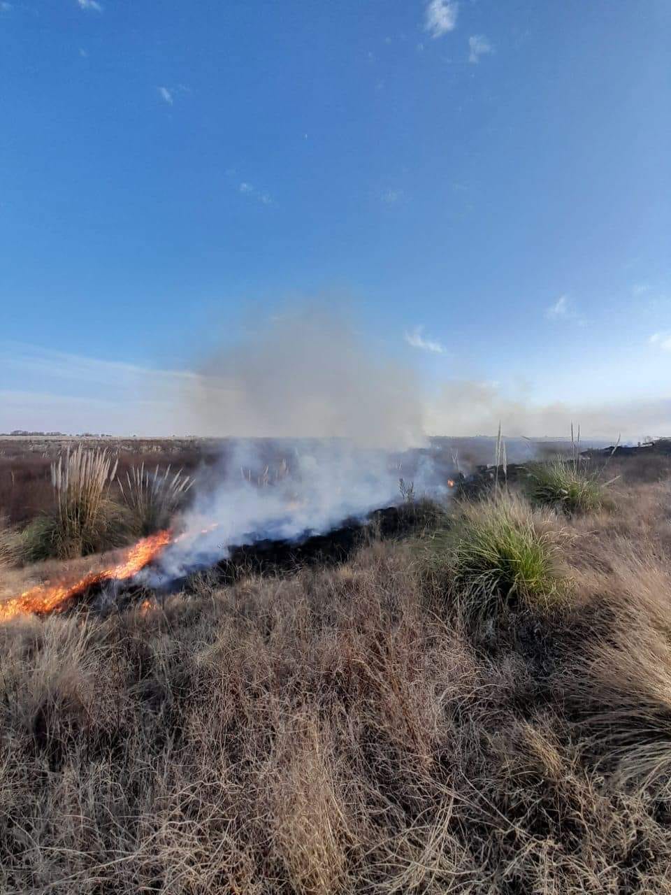 Incendio de pastizales en ruta 26