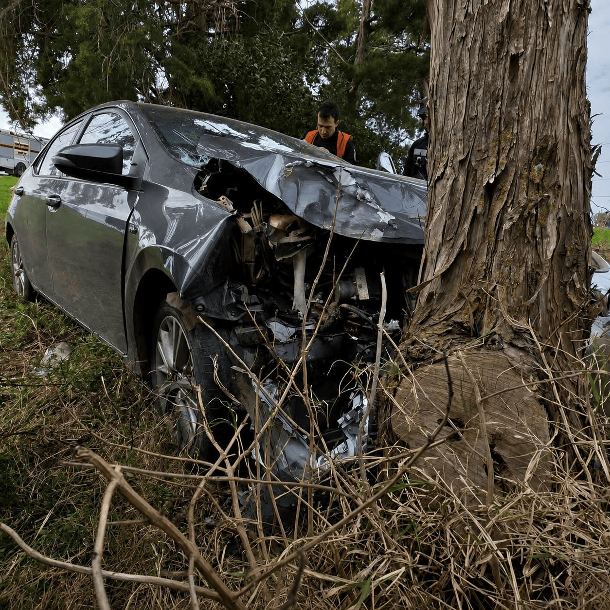 Accidente vehicular en Serrano: un automóvil terminó contra un árbol