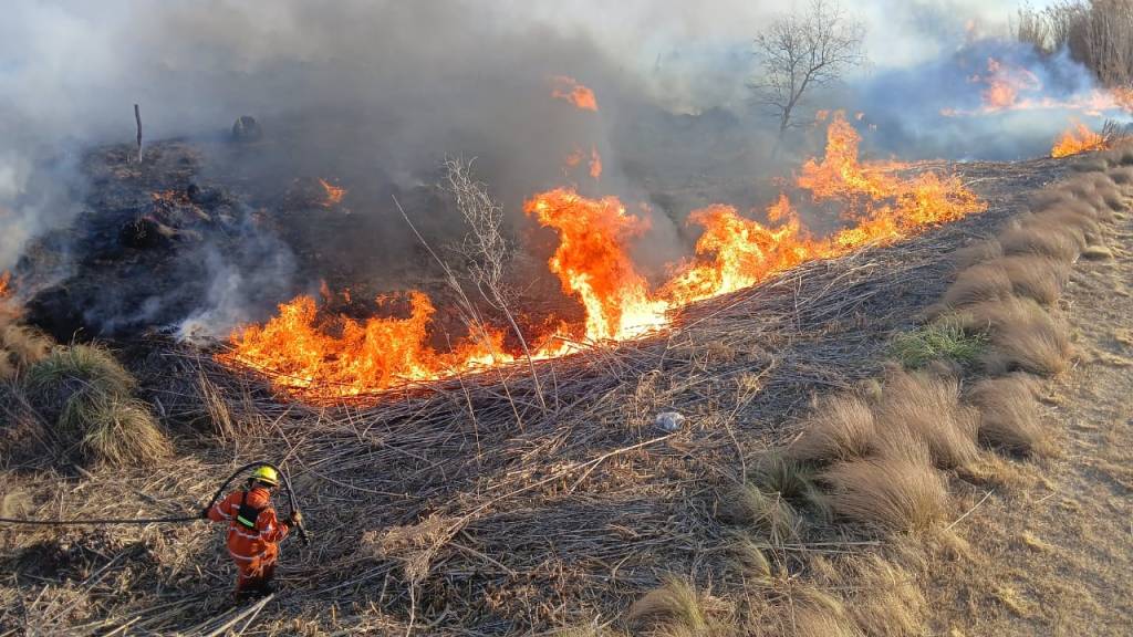 Villa Huidobro: Incendio de pastizales afectó alrededor de cinco hectáreas