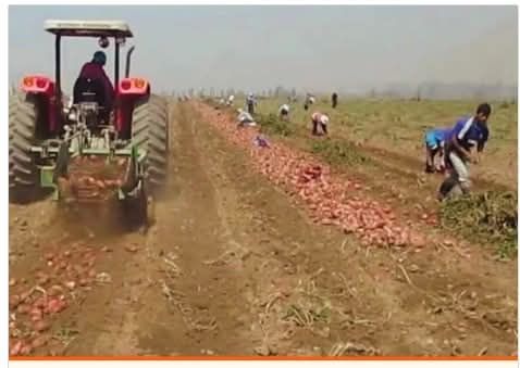 EXPLOTACIÓN LABORAL EN CÓRDOBA: 17 PERSONAS, ENTRE ELLOS 9 MENORES, VIVÍAN EN CONDICIONES INFRAHUMANAS EN UN CAMPO DE PAPAS