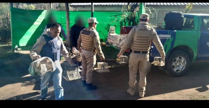 SECUESTRAN AVES DE DISTINTAS ESPECIES EN CALAMUCHITA