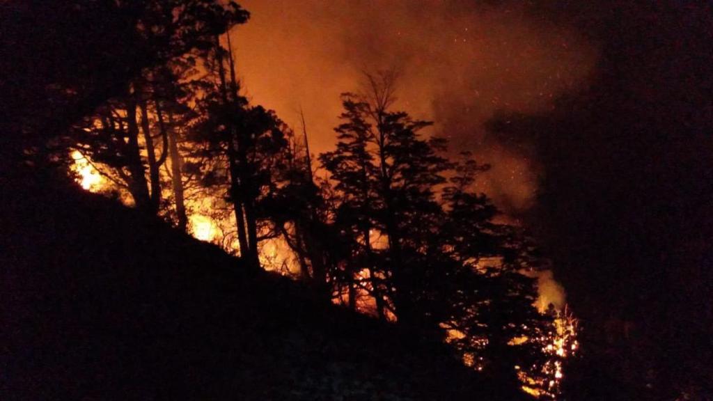 Bomberos cordobeses ya combaten los incendios forestales en Chubut