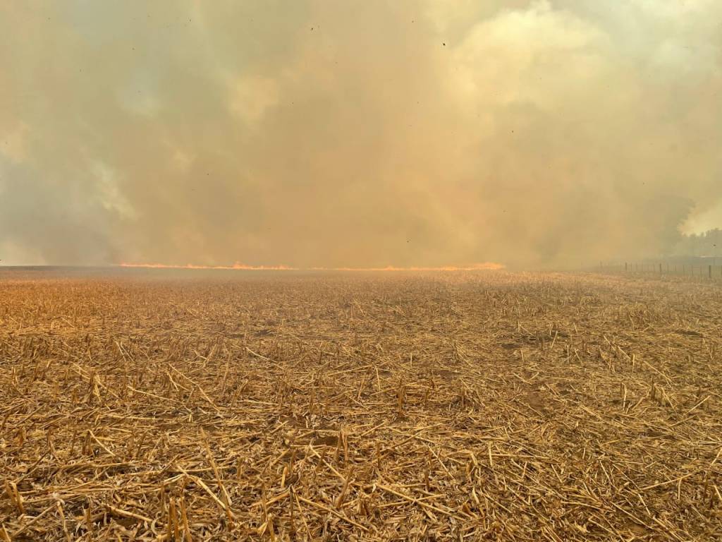 Huinca Renancó: Incendio de cañaveral y rastrojo de maíz.