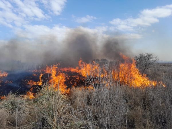 Villa Huidobro: Incendio de pastizales de gran magnitud en dos establecimientos agropecuarios