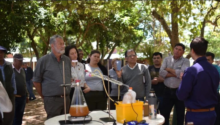 PROMOCIONAN EL CULTIVO DE CAÑA DE AZÚCAR EN CORRIENTES