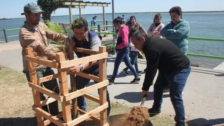 PLANTARÁN 1.000 ÁRBOLES EN ITATÍ