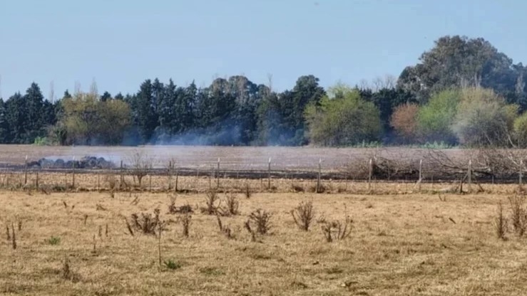 PRODUCTORES ESPERAN PRÓRROGA DE LA EMERGENCIA AGROPECUARIA