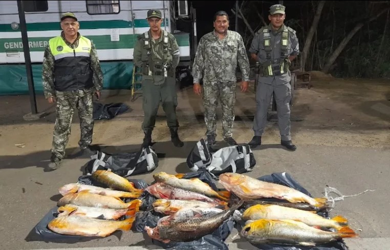 INCAUTARON UN CARGAMENTO ILEGAL DE PESCADOS