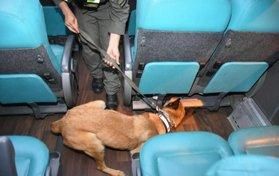 Marihuana en colectivo