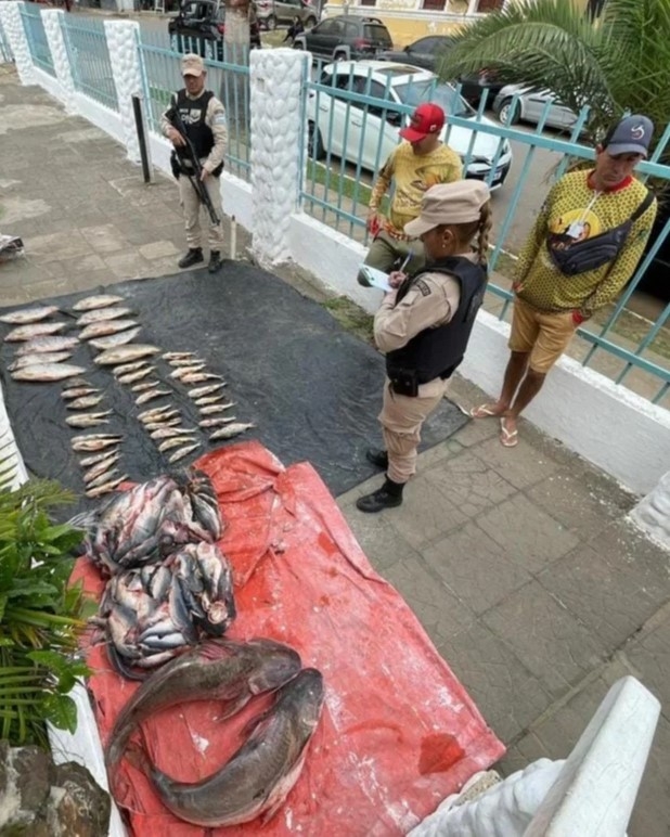 SECUESTRAN PESCADOS QUE IBAN A SER VENDIDOS EN PARAGUAY