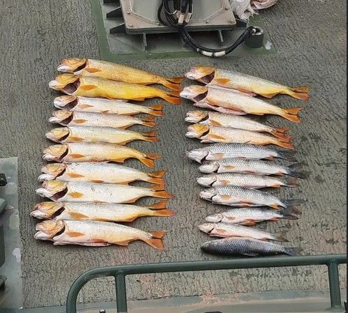 PESCA ILEGAL EN ITATÍ