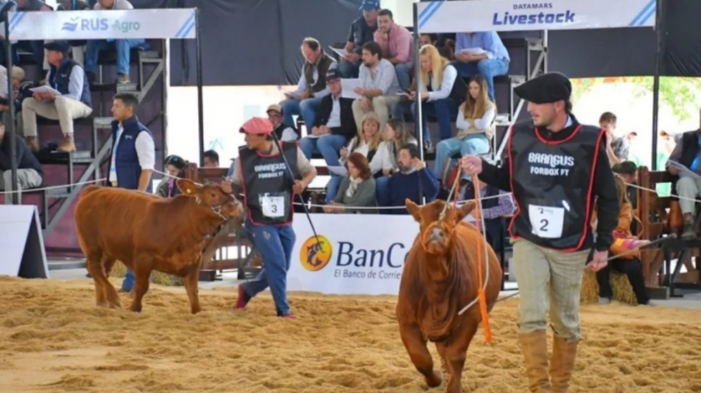 CORRIENTES SEDE DEL CONGRESO MUNDIAL DE BRANGUS