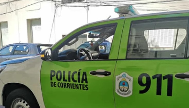 ATROPELLARON Y MATARON A UNA CRIATURA