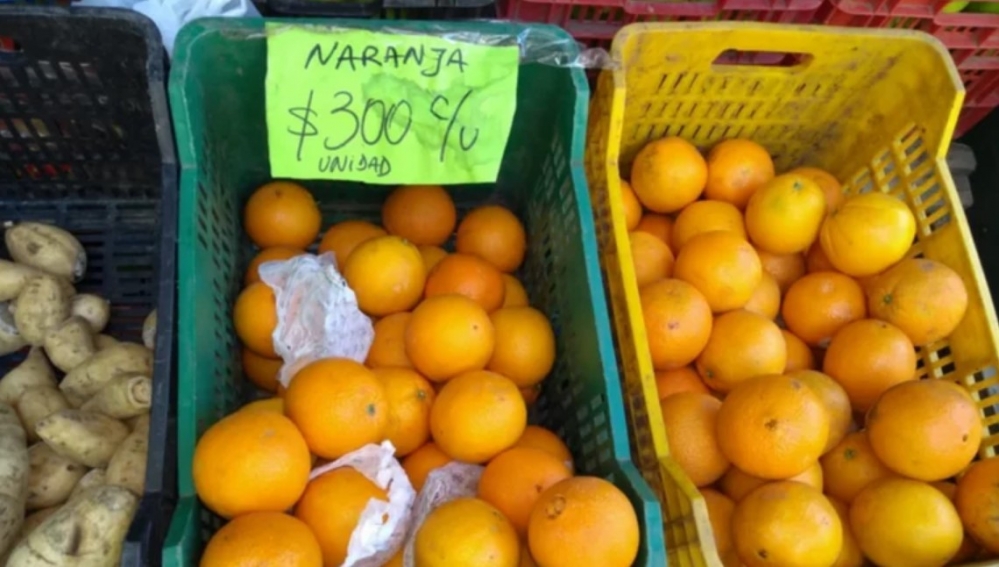 QUEJA DE CORRIENTES POR LA IMPORTACIÓN DE NARANJAS