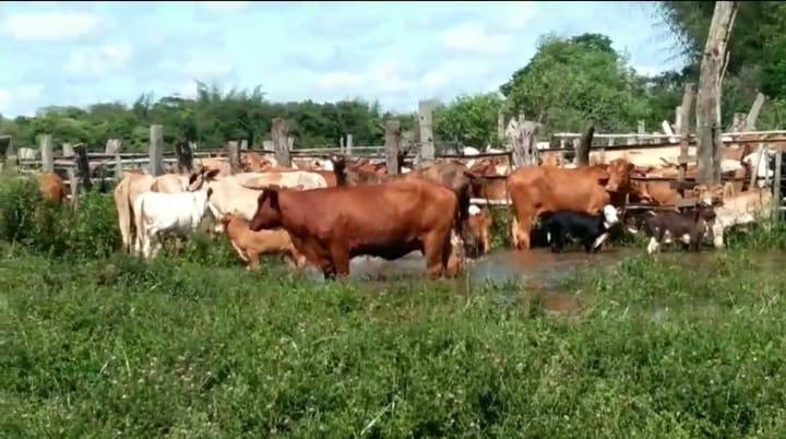 EVACUADOS POR LA CRECIENTE RECIBEN AYUDA