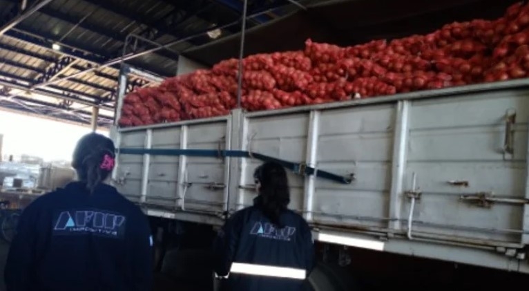 PRETENDÍAN LLEVAR 28 TN DE CEBOLLAS CORRENTINAS A BRASIL