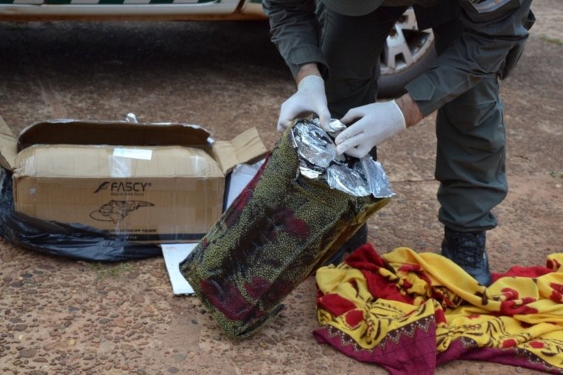 SECUESTRAN ENCOMIENDA CON MARIHUANA EN SANTO TOMÉ