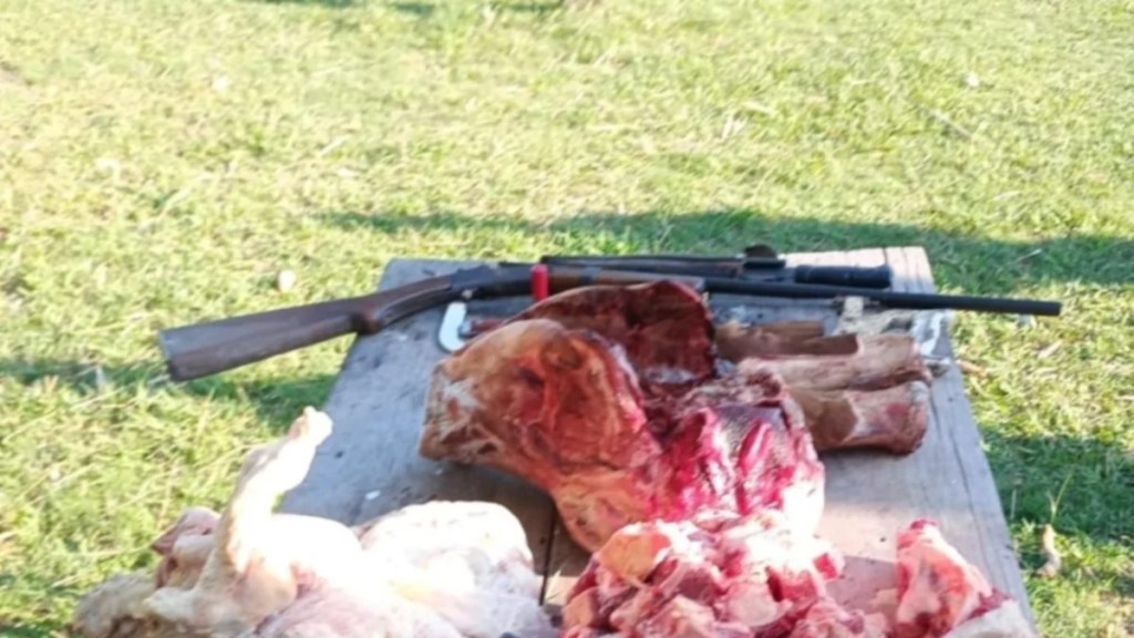 DETIENEN A UN HOMBRE POR ABIGEATO Y FAENA CLANDESTINA