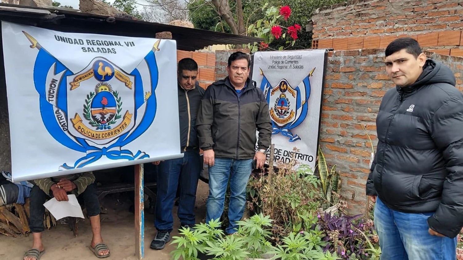 HALLAN PLANTAS DE MARIHUANA EN UN DOMICILIO DE EMPEDRADO