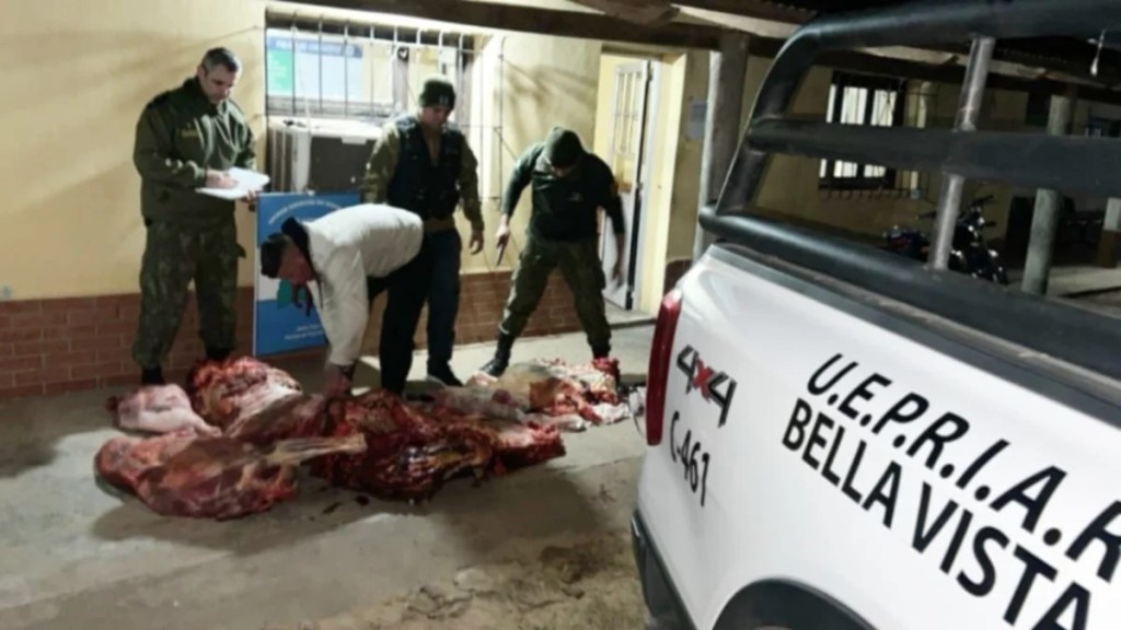 DECOMISAN MÁS DE 500 KILOS DE CARNE PRODUCTO DE ABIGEATO Y FAENA CLANDESTINA