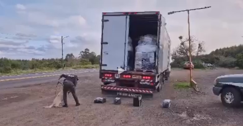 DECOMISAN EN SANTO TOMÉ UN CARGAMENTO DE DROGAS ENVIADAS POR ENCOMIENDA