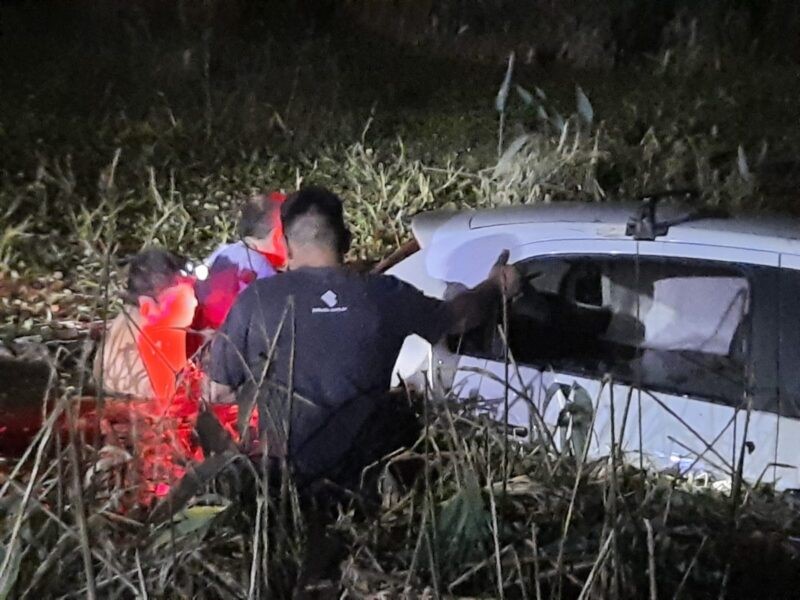 AUTOMÓVIL DESPISTA Y VUELCA AL ATROPELLAR UN CARPINCHO EN LA RUTA