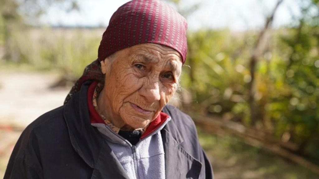 CASO LOAN: CITARON A DECLARAR A LA ABUELA DEL NIÑO DESAPARECIDO