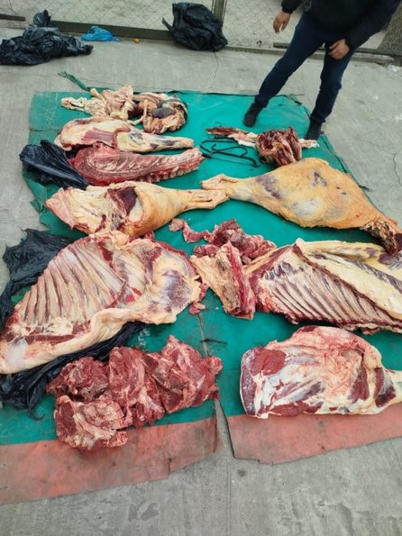 SECUESTRAN 300 KILOS DE CARNE FAENADA ILEGALENTE EN “EL SOMBRERO”